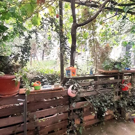 Rosewood Balkan Holiday home